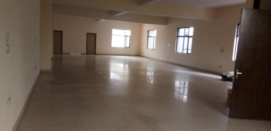 D block sector 2 noida