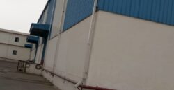 Warehouse In Tauru (Gurugram), Haryana