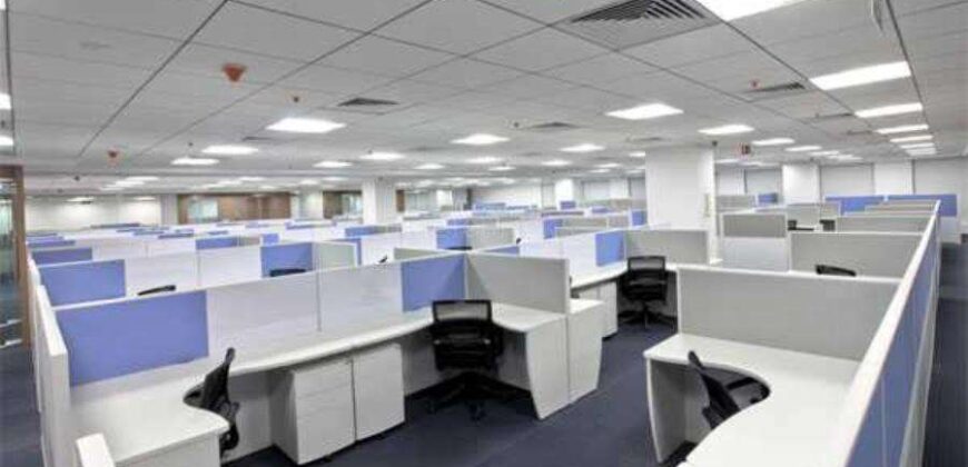 D-Block Sector-2 , Noida