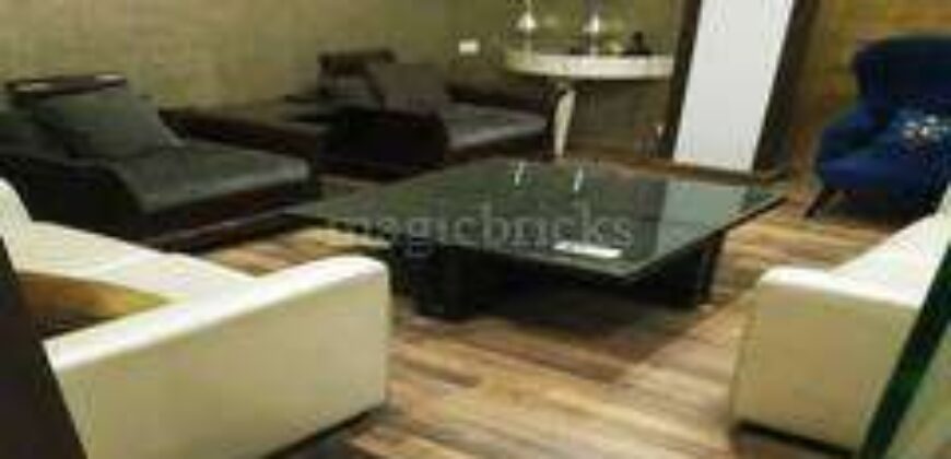 D-Block Sector-2 , Noida