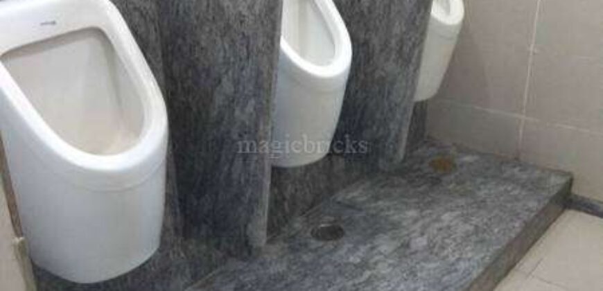 B-Block sector-2 Noida