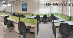 PLATINUM GREEN COWORKS