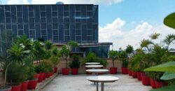 PLATINUM GREEN COWORKS